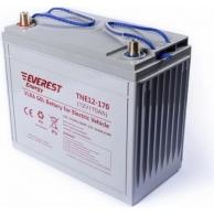 Аккумуляторная батарея EVEREST Energy TNE 12-170 фото