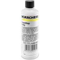 Пеногаситель KARCHER Fruity 125 ml, 6.295-875.0 [6.295-875.0] фото
