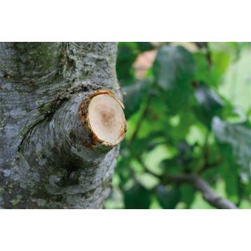 Сучкорез GARDENA Comfort с храповым механизмом SmartCut 08773-20.000.00 [08773-20.000.00] фото 3