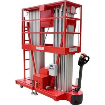 Телескопический подъемник GROST Double Drive 0.2-12 самоход., двухмачтов. (12 м/200 кг, DC ) 200046 [200046] фото 1