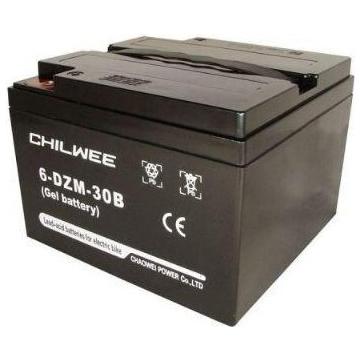 Аккумуляторная батарея CHILWEE 6-DZM-30B фото 1
