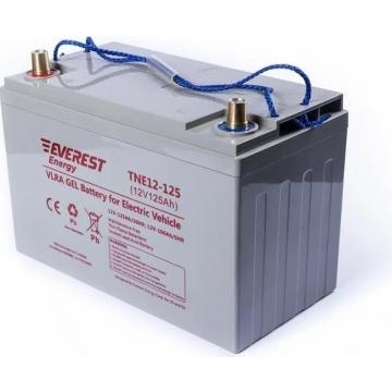 Аккумуляторная батарея EVEREST Energy TNE 12-125 фото 1
