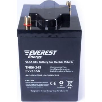 Аккумуляторная батарея EVEREST Energy TNE 6-245 фото 1