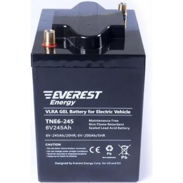 Аккумуляторная батарея EVEREST Energy TNE 6-270 фото 1
