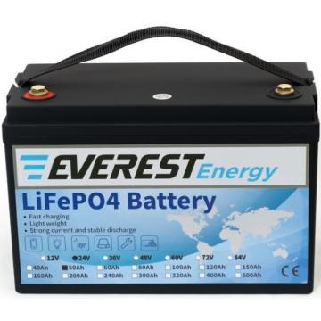 Аккумуляторная батарея EVEREST Energy LFP-24-50 фото 2