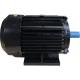 Электродвигатель VEKTOR YH100L-2 (GQ40, №33) [00000000949] фото навигации 1