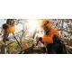 Бензопила STIHL MS 150-25 TC-E [11462000042] фото навигации 3