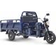 Трицикл грузовой RUTRIKE D4 1800 60V1200W Синий 1981 [021494-1981] фото навигации 1